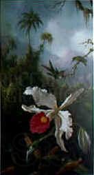 Martin Johnson Heade Two Hummingbirds Norge oil painting art